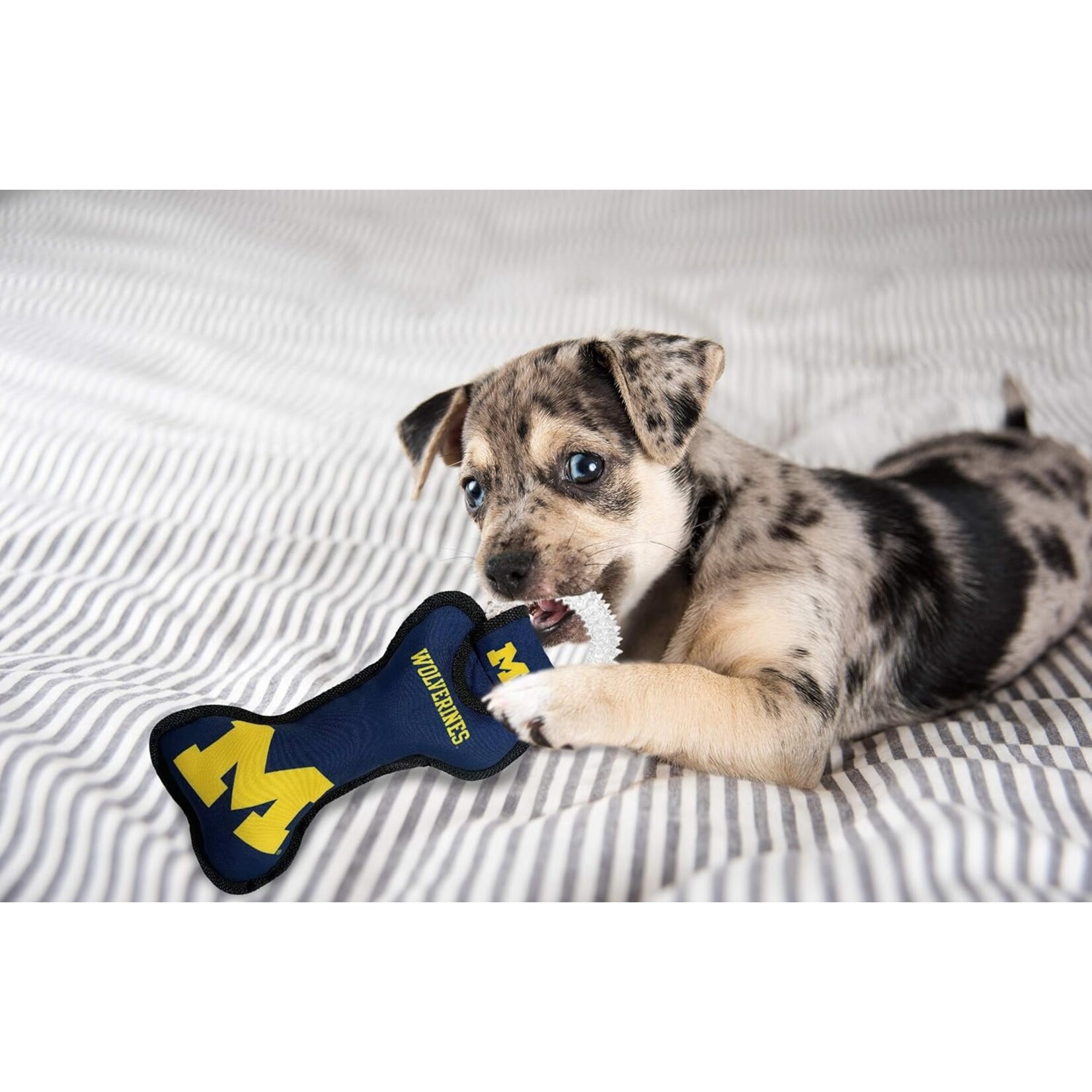 Pets First Inc University of Michigan Wolverines Pet Dental Bone Toy