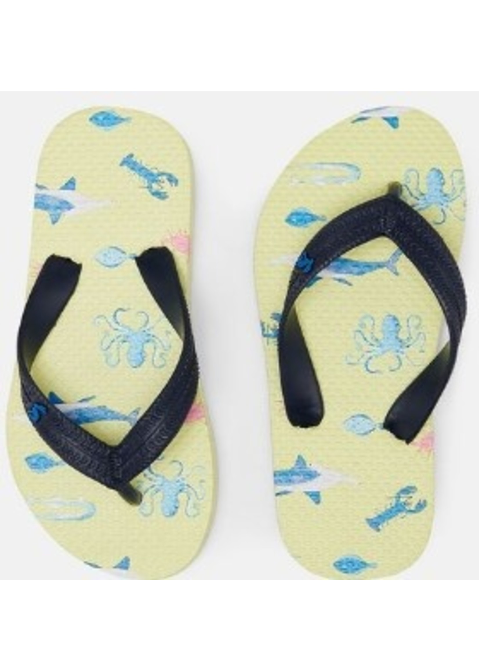 Joules Joules Flip Flop