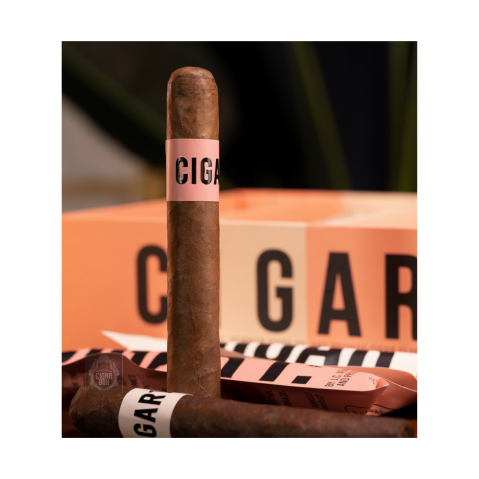 LCA Cigar 1 Cream LCA Exclusive