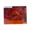 Deadwood Deadwood Dia De Los Muertos Box of 20
