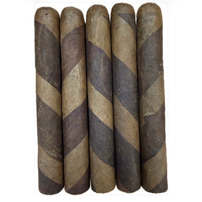 DBL Fresh Roll Humi 5 Pack