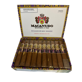 Macanudo Ecuadorian Shade Gigante Box of 20
