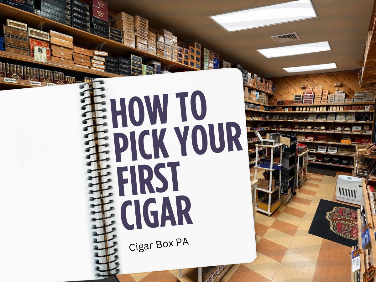 Beginner's Guide to Cigars: How to Pick Your First One