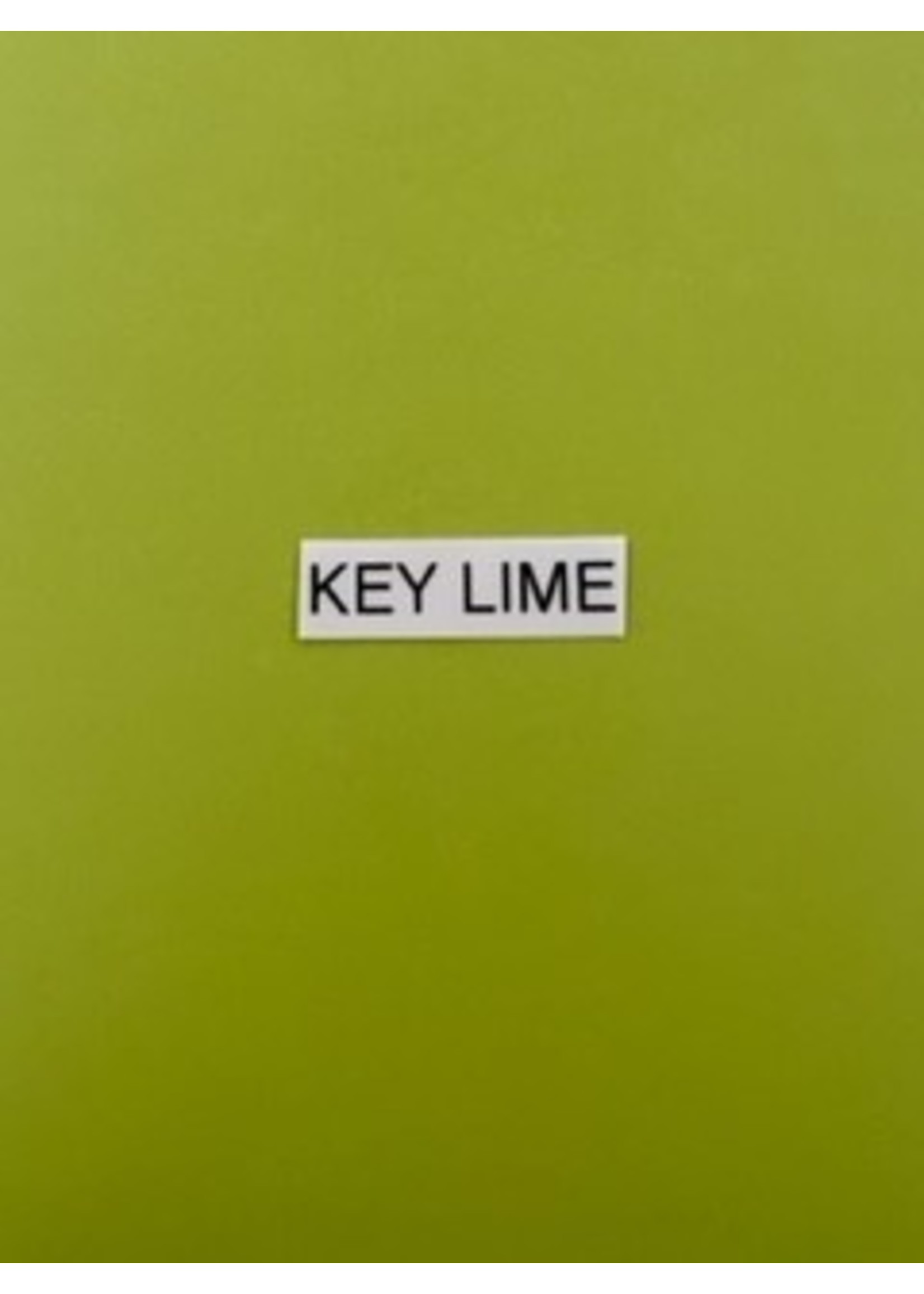 Gina K Gina K Cardstock 8.5x11 (10), Key Lime HW