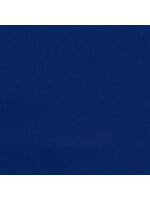 Bazzill Heavyweight 12x12, Whirlypop