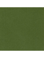 Bazzill 12x12, Nixon