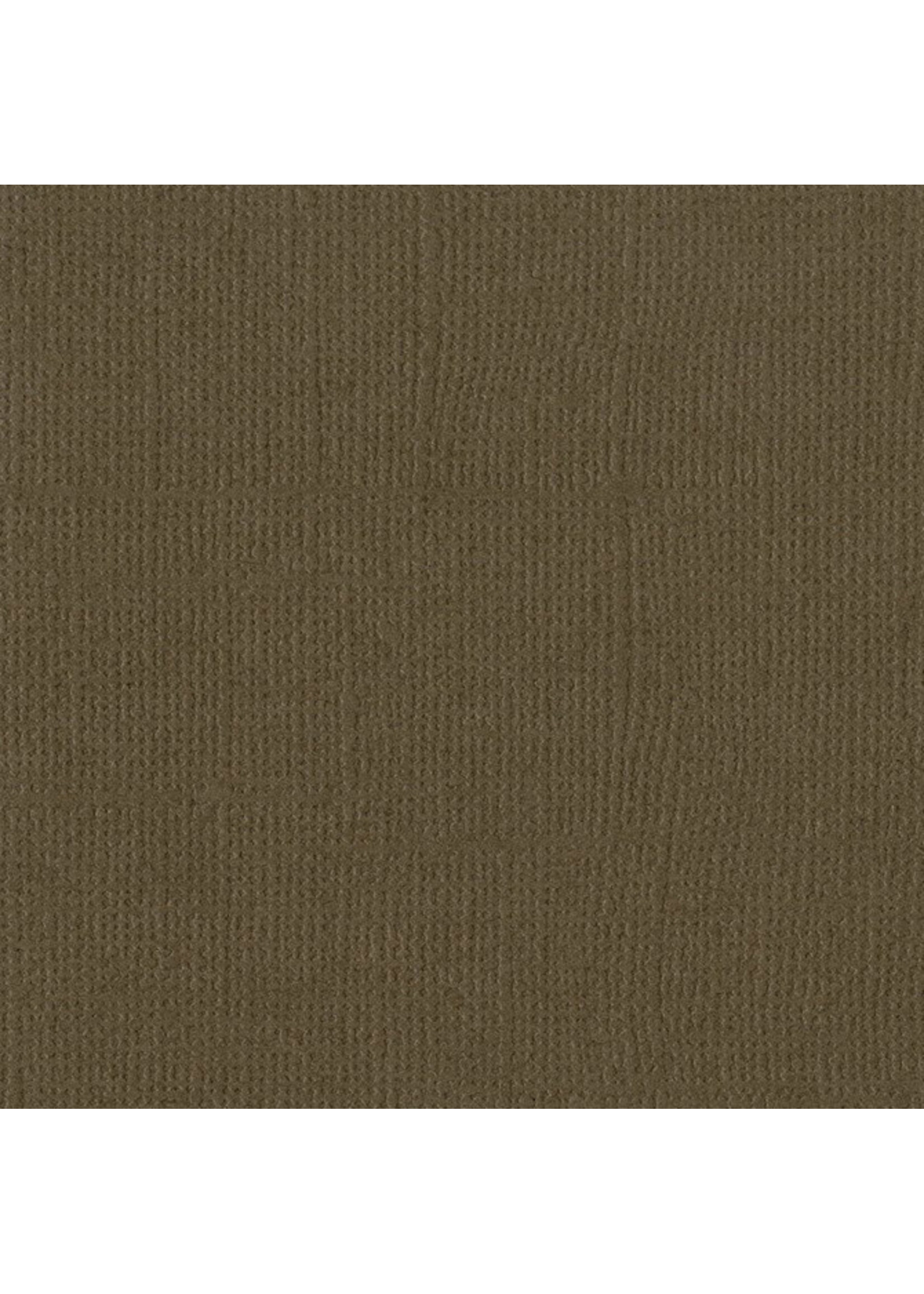 Bazzill 12x12, Bark