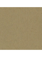 Bazzill 12x12, Kraft