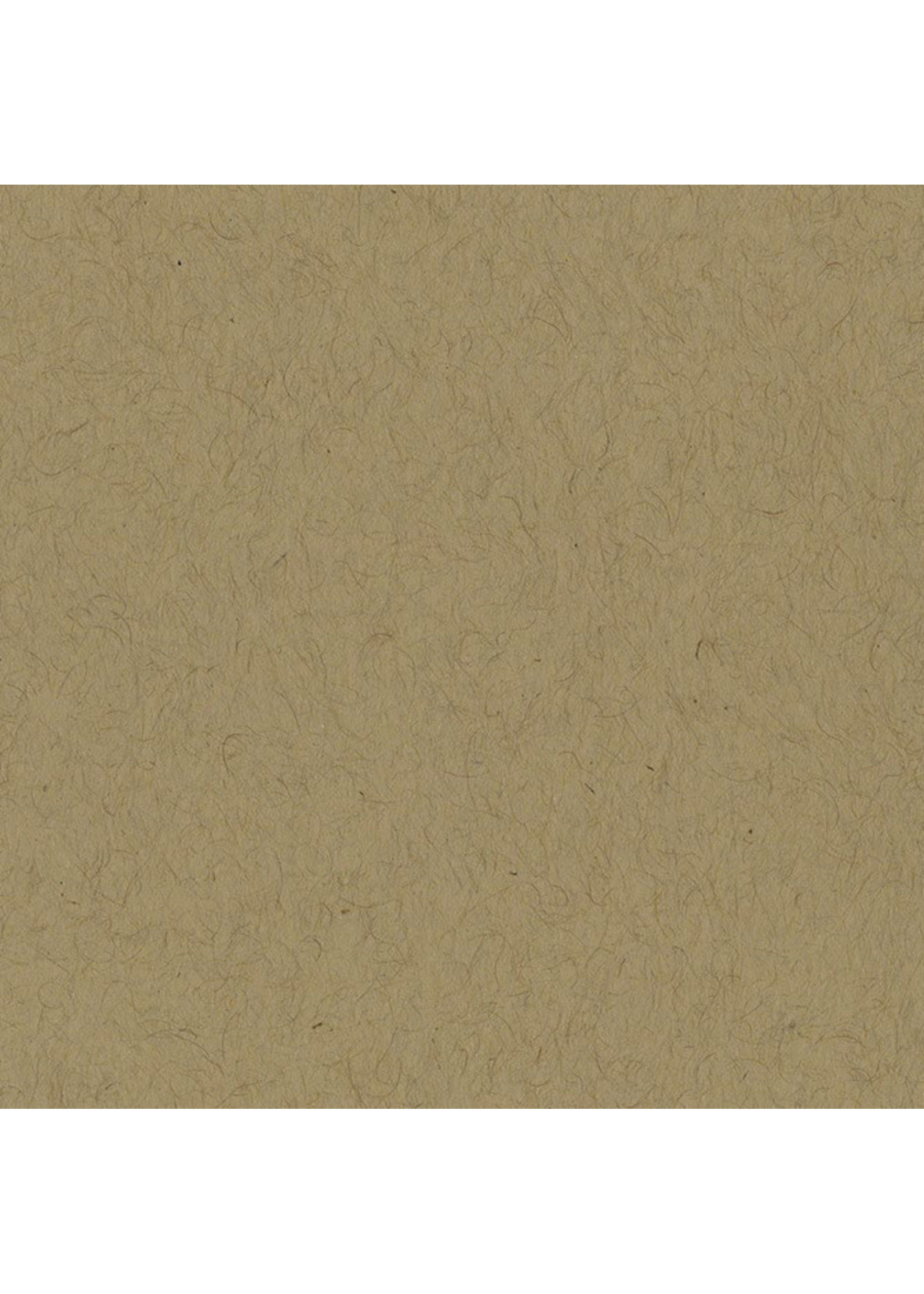 Bazzill 12x12, Kraft
