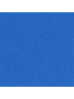 12x12Mono Cardstock, Pauly Poo