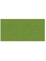 Bazzill 12x12, Intense Kiwi