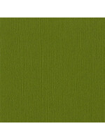 Bazzill 12x12 Mono Canvas Cardstock, Hillary