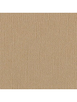 Bazzill 12x12 Bling, Blank Check