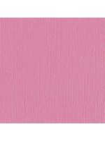 Bazzill 12x12 Bling, Sassy