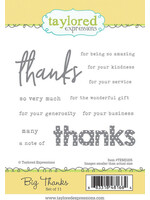 Taylored Expressions Taylored Expressions Cling Stamp, Big Thanks