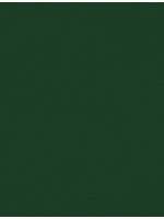 PhotoPlay My Colors 8.5X11 Canvas Cardstock, Pine Forest