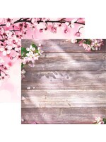 Reminisce Reminisce 12x12 Springtime, Apple Blossoms