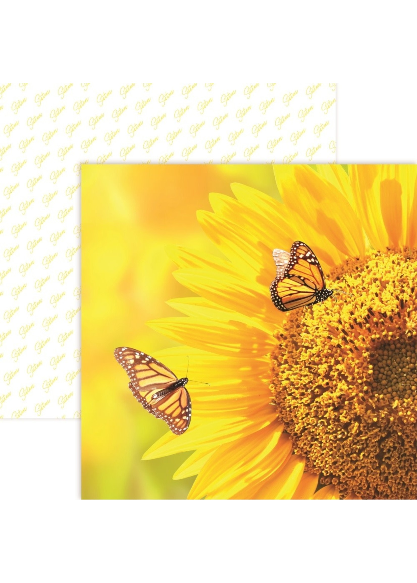 Reminisce Reminisce 12x12 Sisters, Nature's Angels