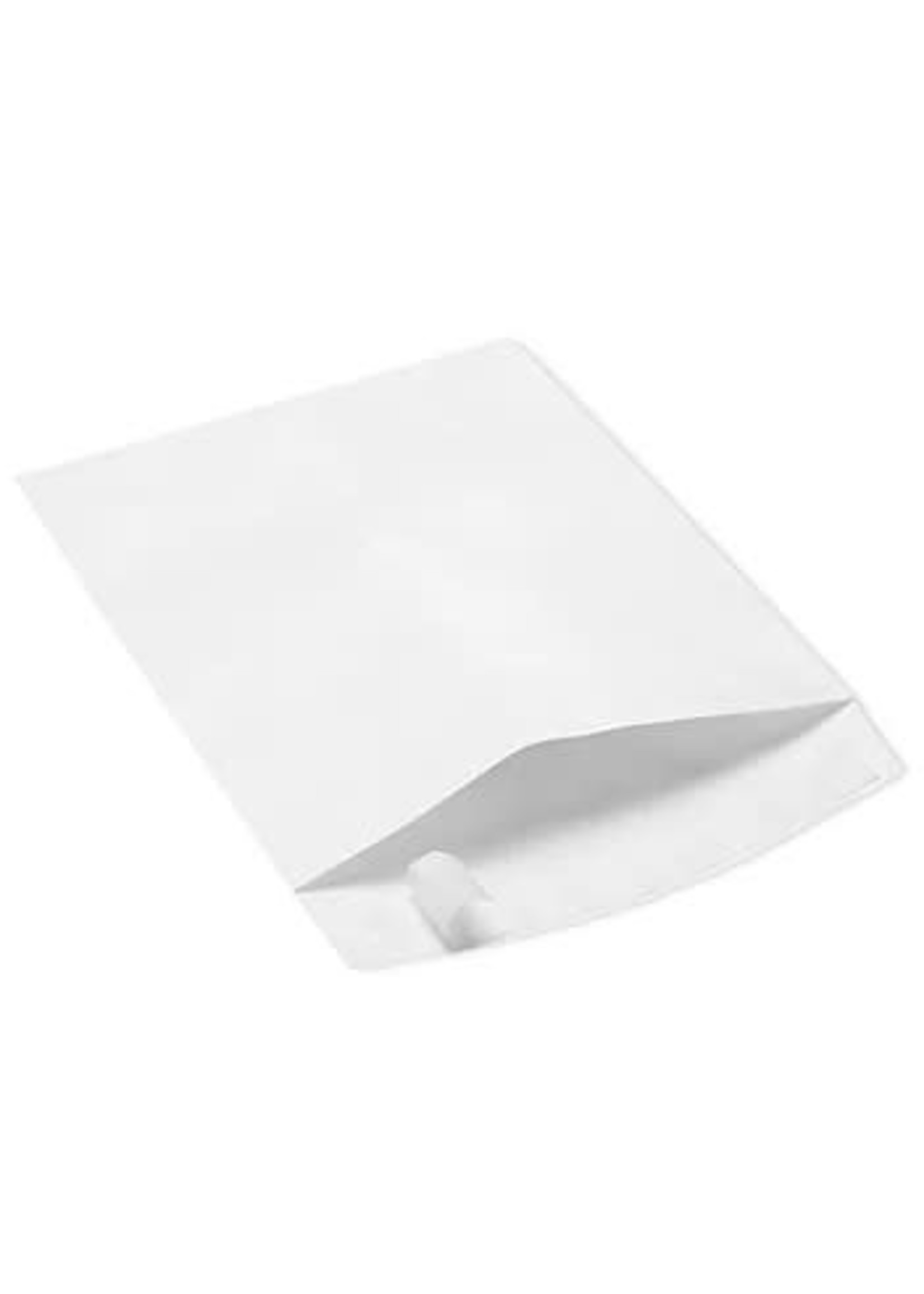 White Tyvek Envelope