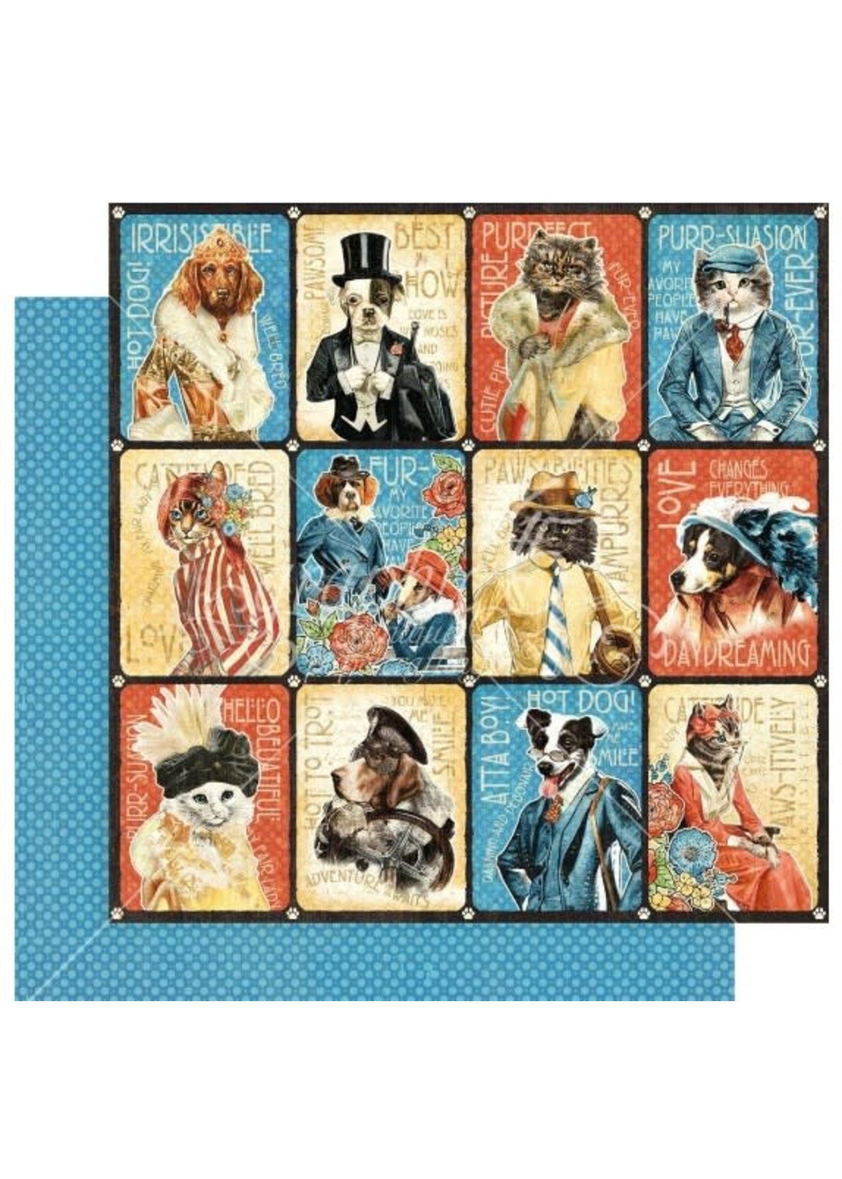 Graphic 45 Graphic 45 12x12 Well Groomed, Purr-Fect