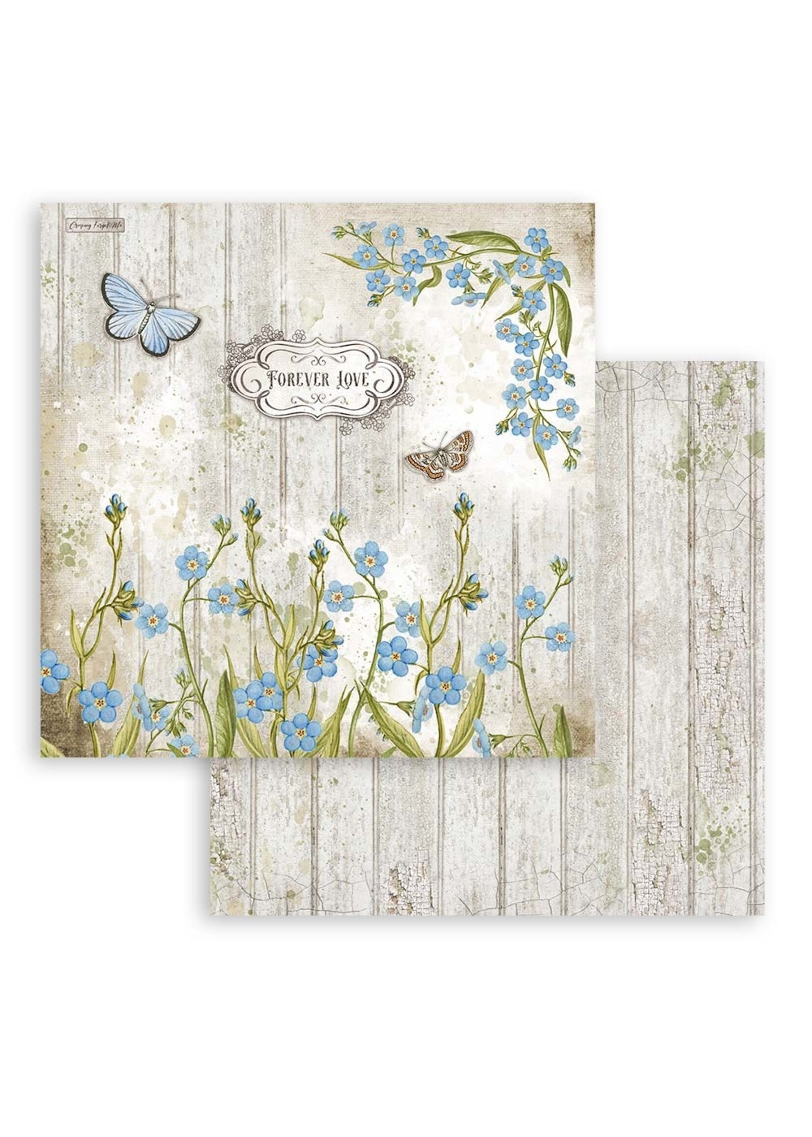 Stamperia Stamperia 12x12  Garden House, SBB861 Columbine