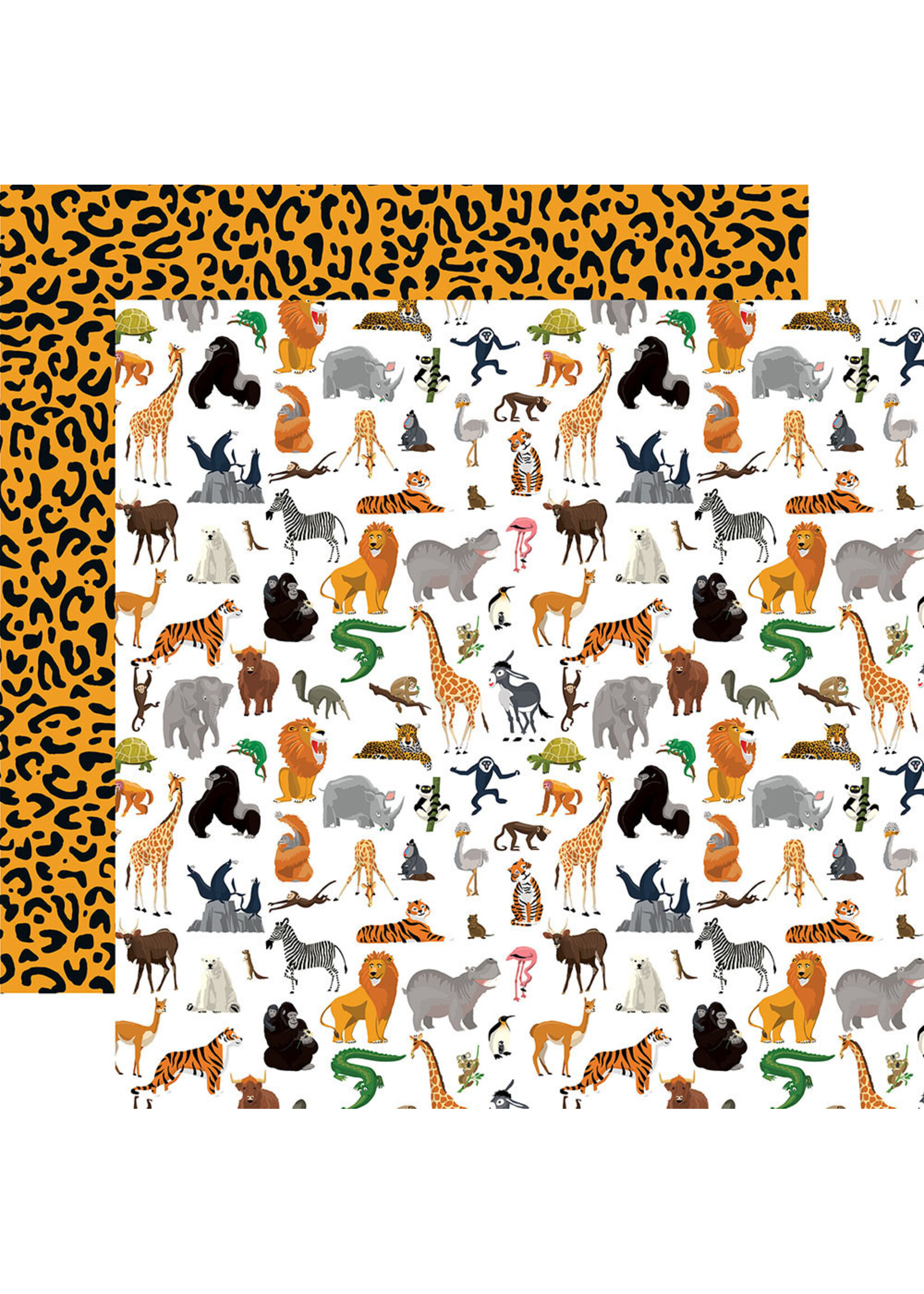 Carta Bella Carta Bella 12x12 Zoo Adventure, Born to Be Wild