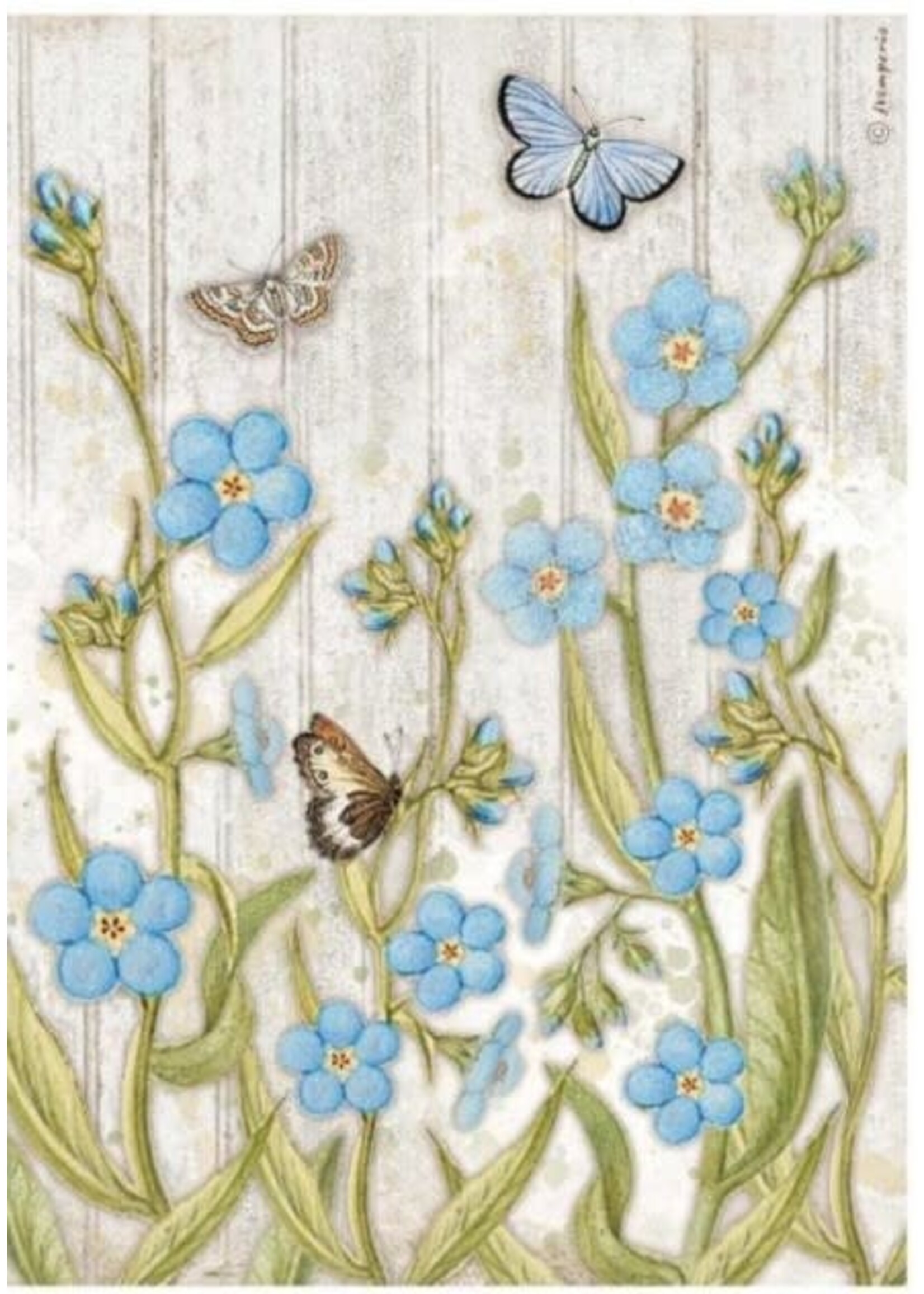 Stamperia Stamperia Rice Paper Romantic Garden House, DFSA4667 Blue Flowers & Butterfly