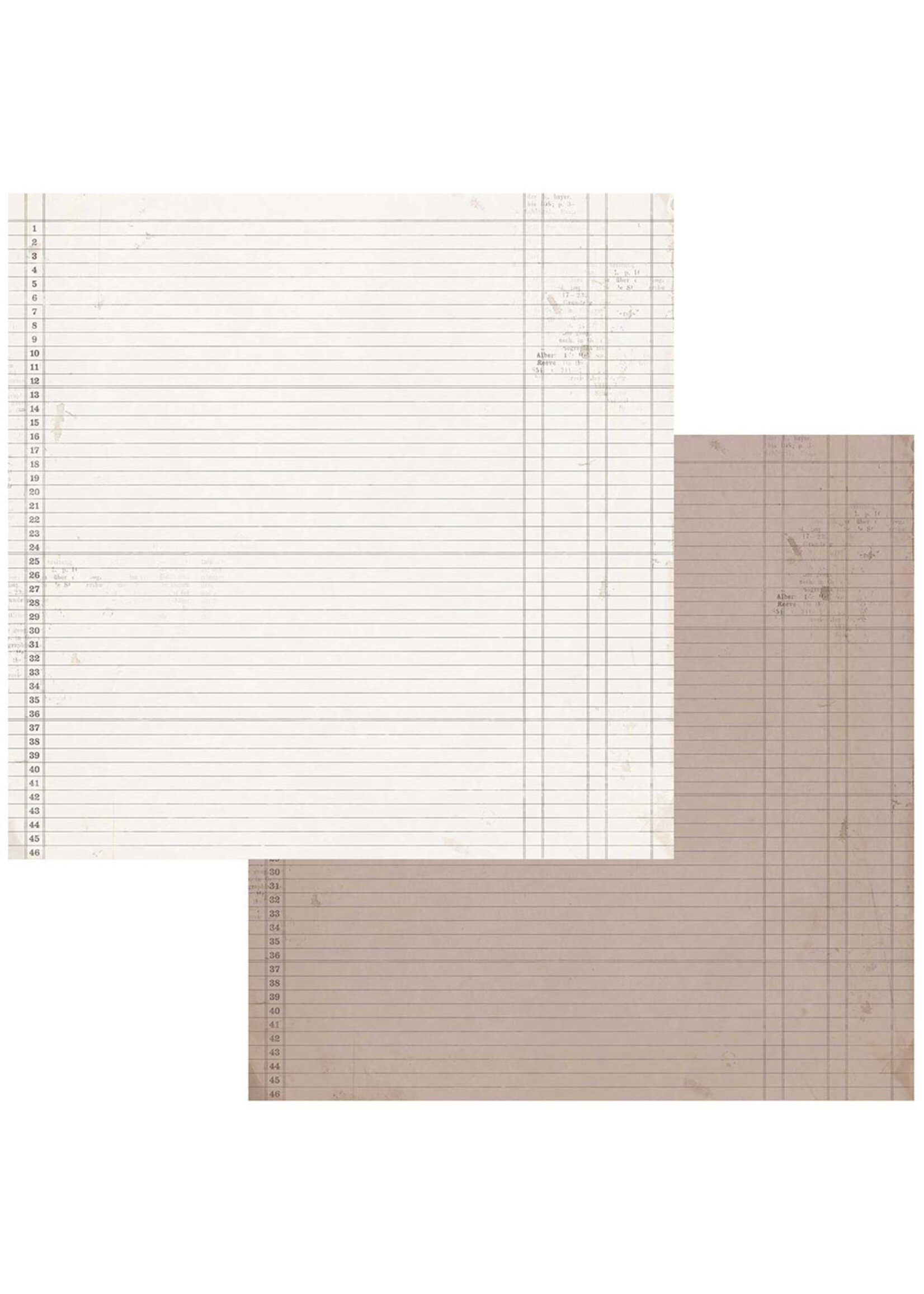 49 & Market 12x12 Vintage Artistry Nature Study, Ledger 4