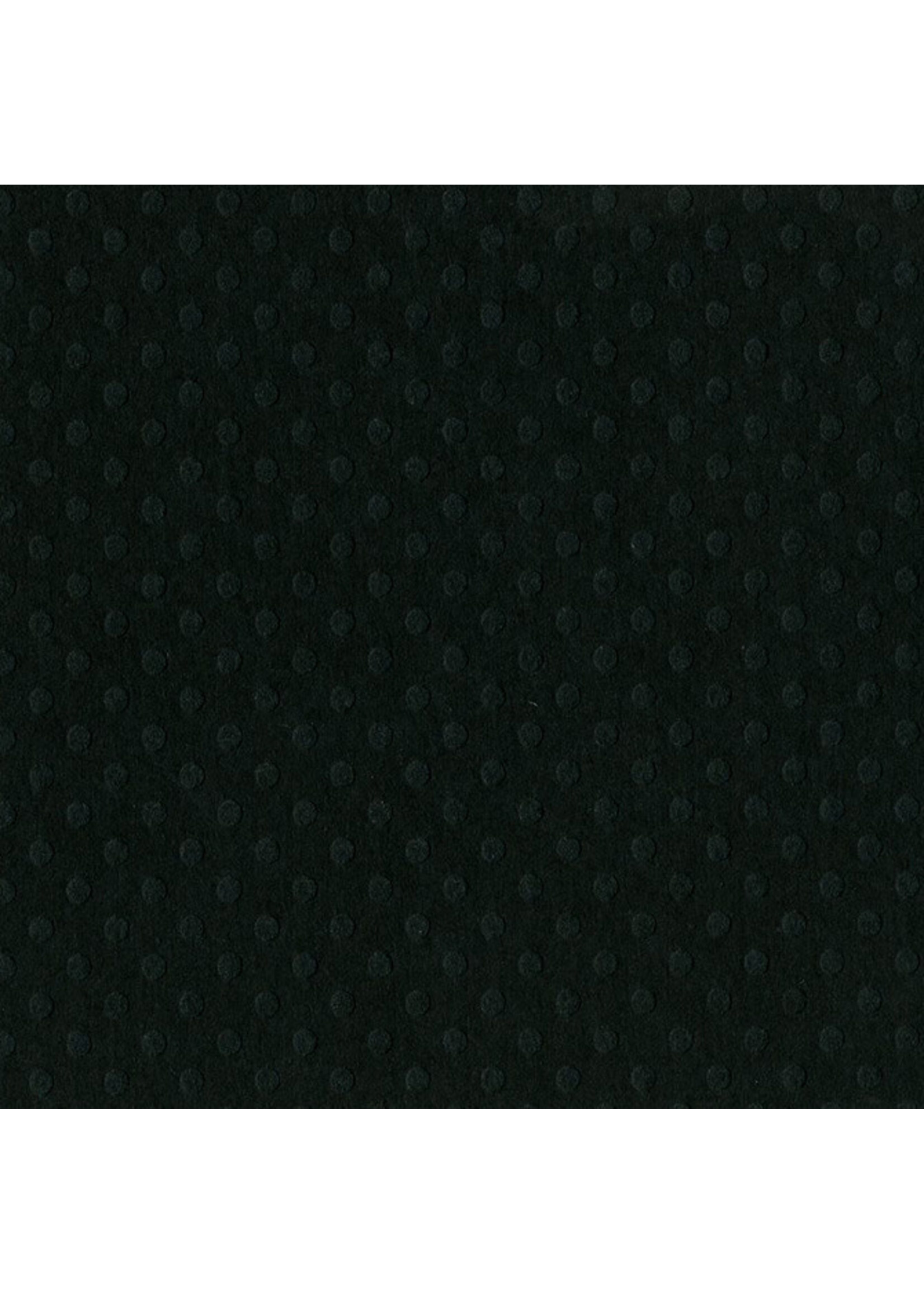 Bazzill 12x12 Dotted Swiss, Pepper