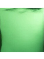 Bazzill 12x12 Foil Paper, Green