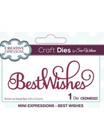 Creative Expressions Creative Expressions Die, CEDME023, Best Wishes