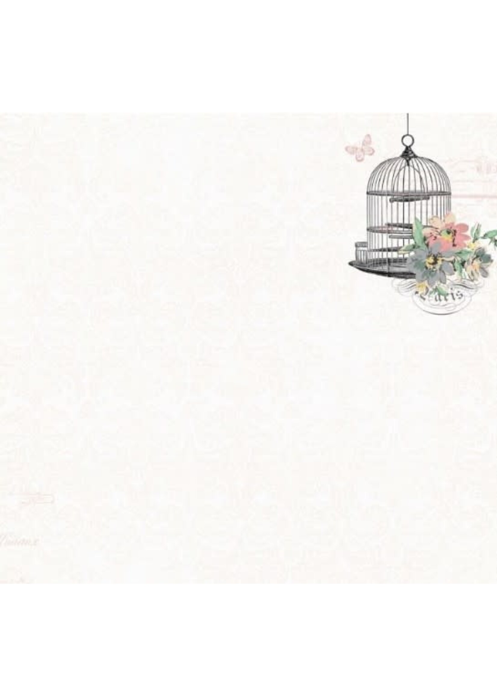 Kaisercraft 12x12 Le Belle, Birdcage