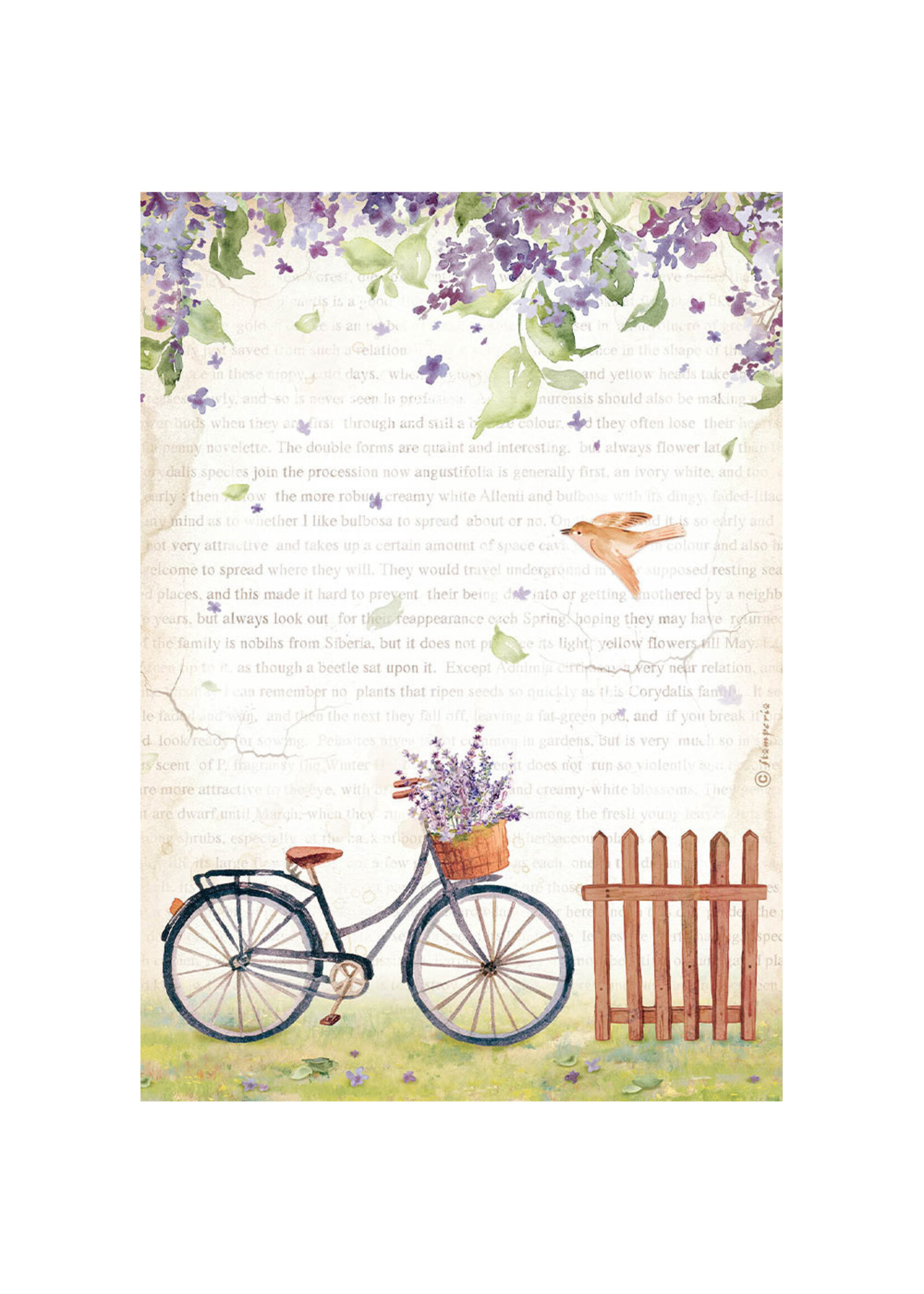 Stamperia Stamperia Rice Paper Provence, DFSA4671 Bicycle