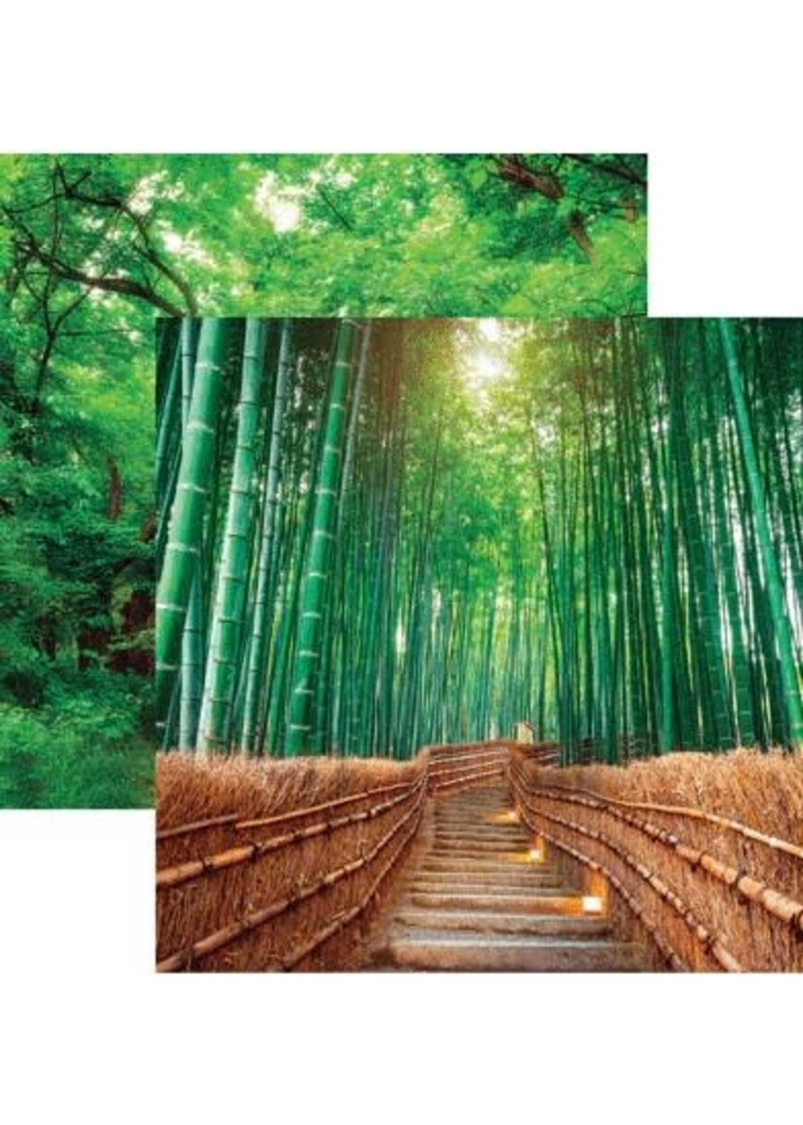 Reminisce Reminisce 12x12 The Journey Beyond, Bamboo Byway