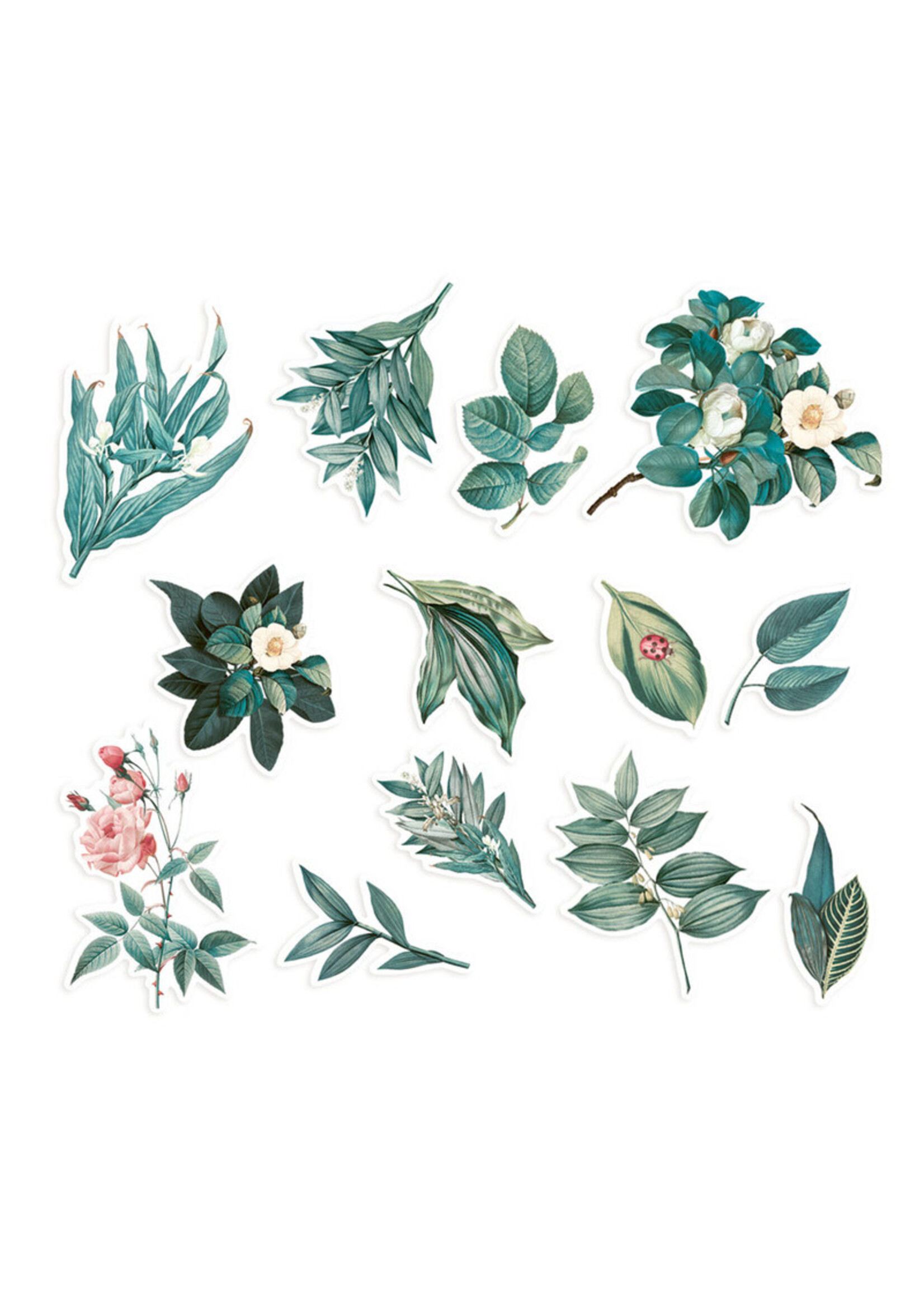 Ephemera, Naturalist - Flowers & Leaves