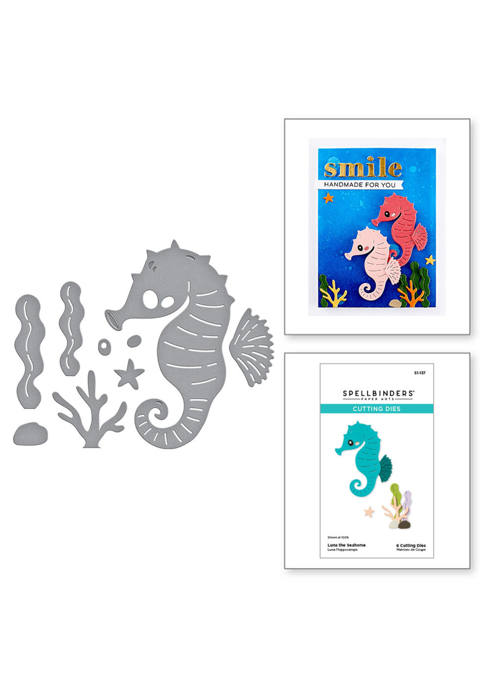 Spellbinders Die, Luna the Seahorse