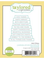 Taylored Expressions Stamp & Die Bundle, Mini Strips Birthday