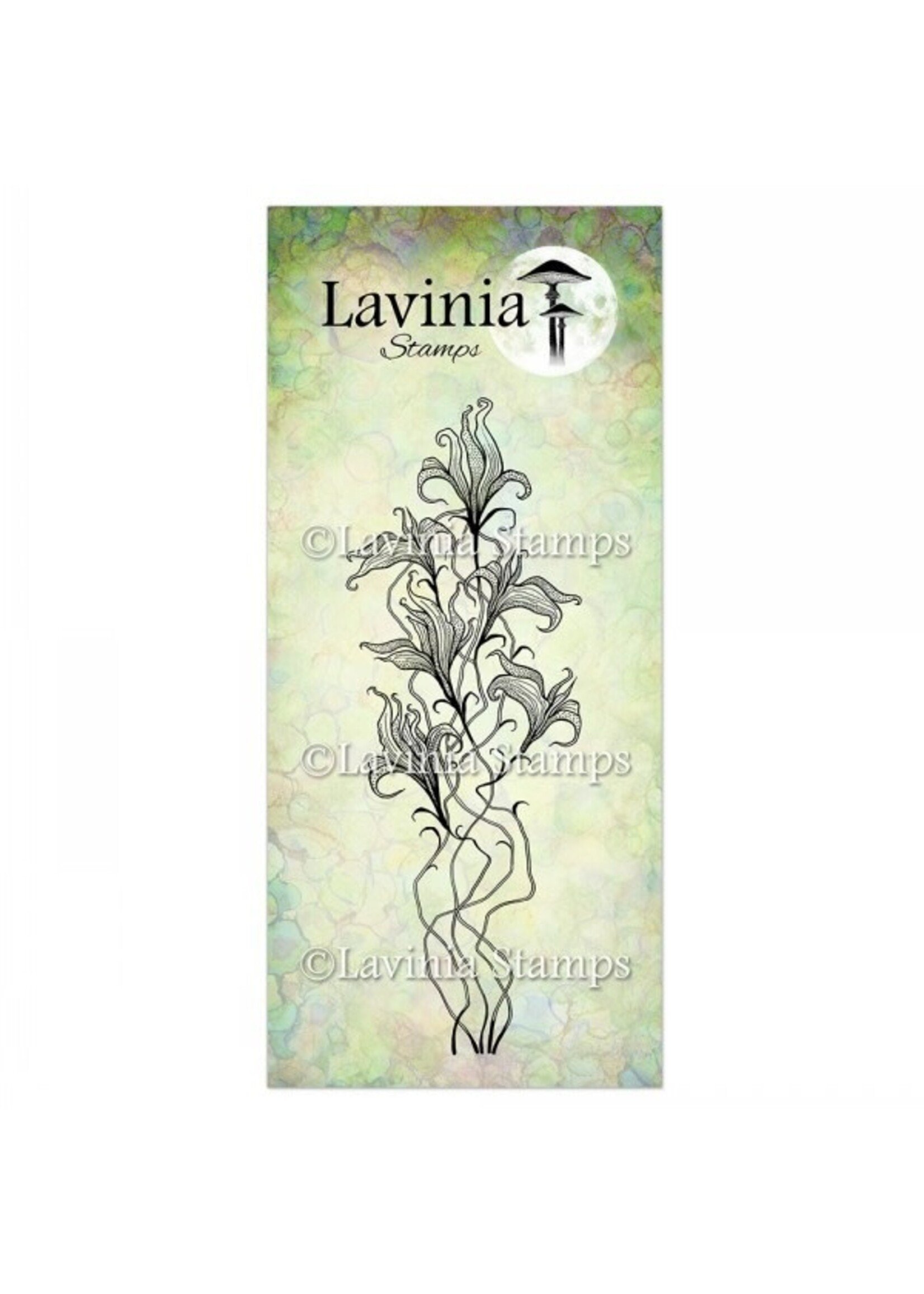 Lavinia Lavinia Stamp, LAV905 Twilight Lily