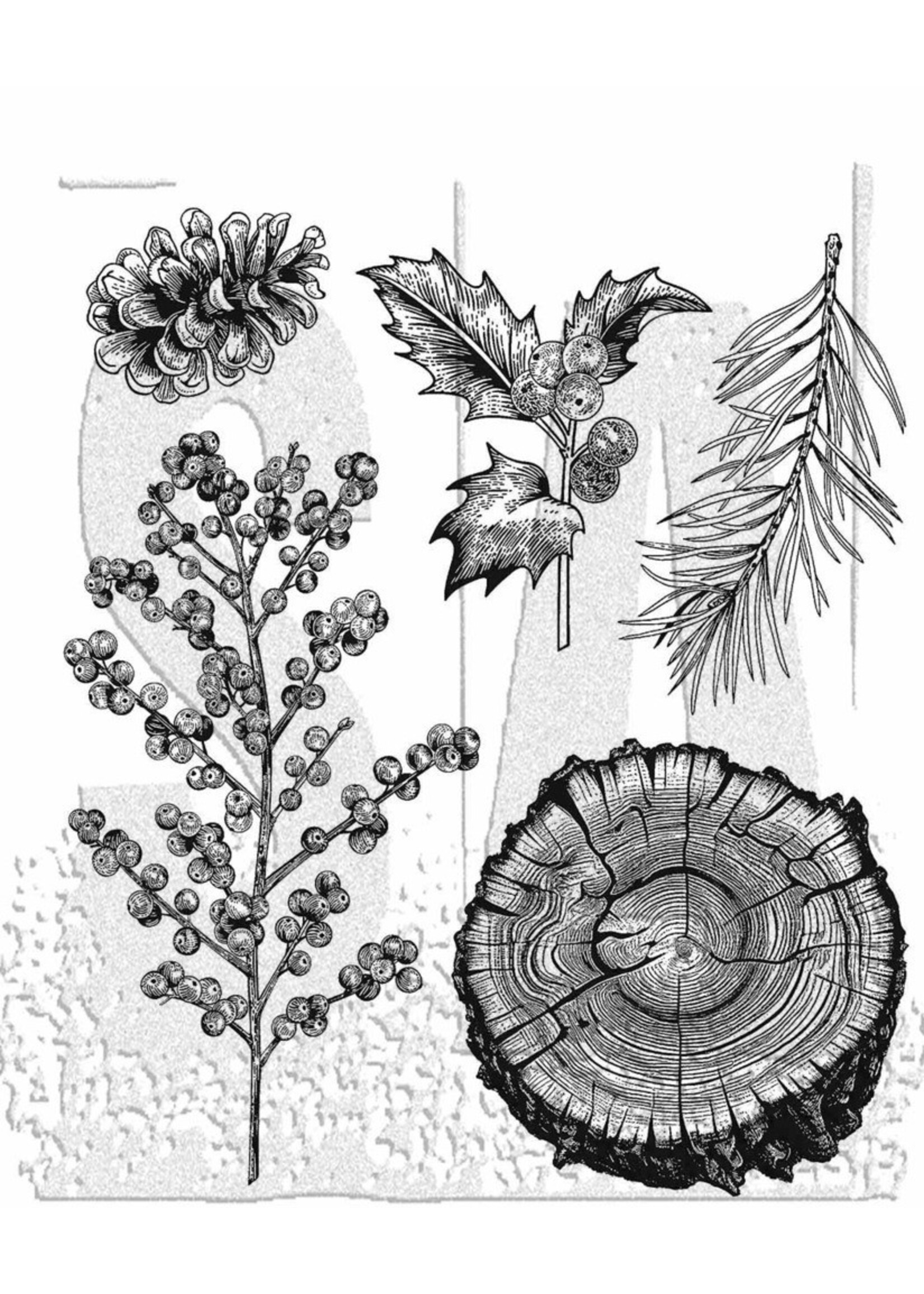 Stampers Anonymous Tim Holtz Cling Stamp, CMS497 Forest Floor 2