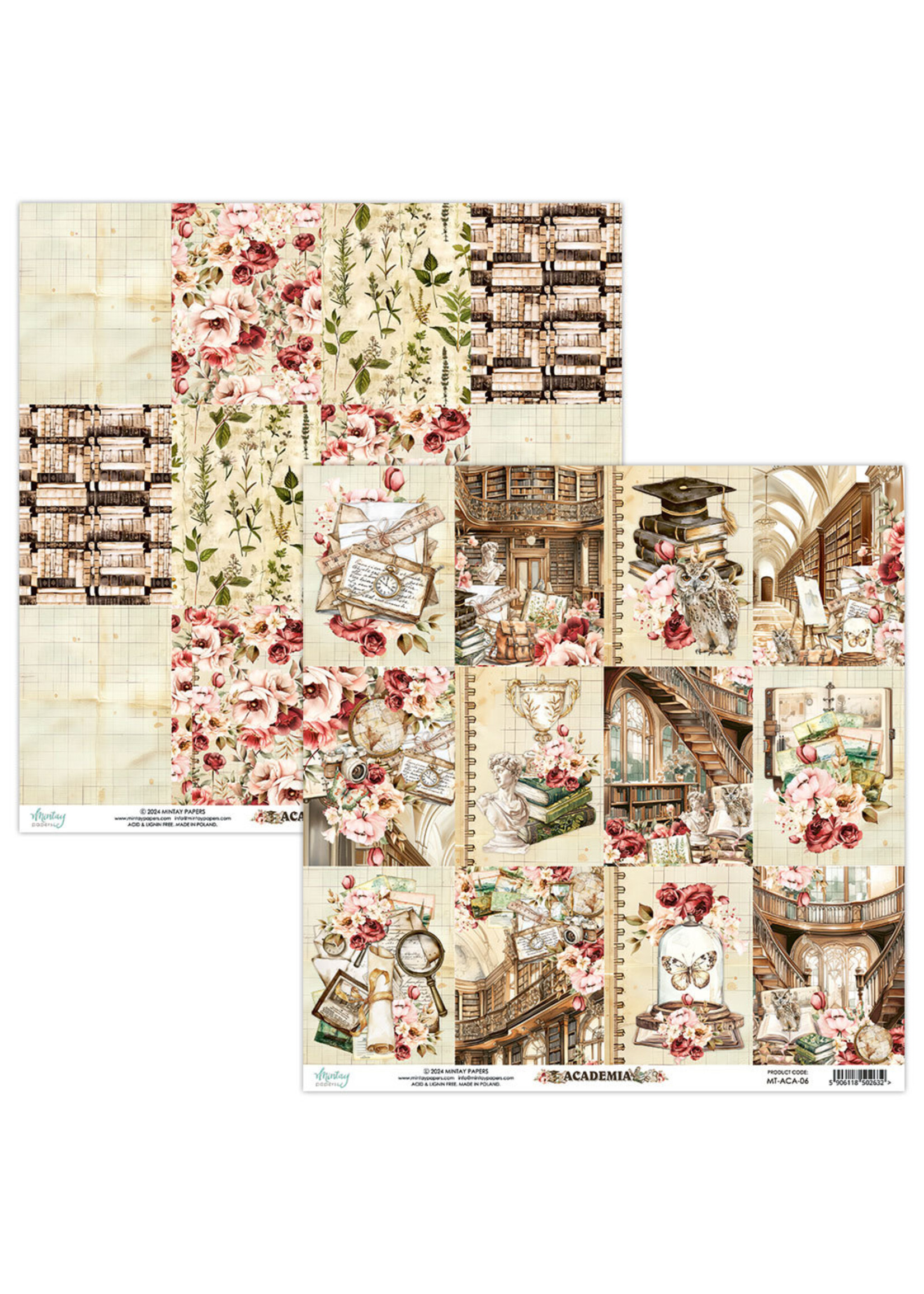 Mintay 12x12 Acadamia, 06