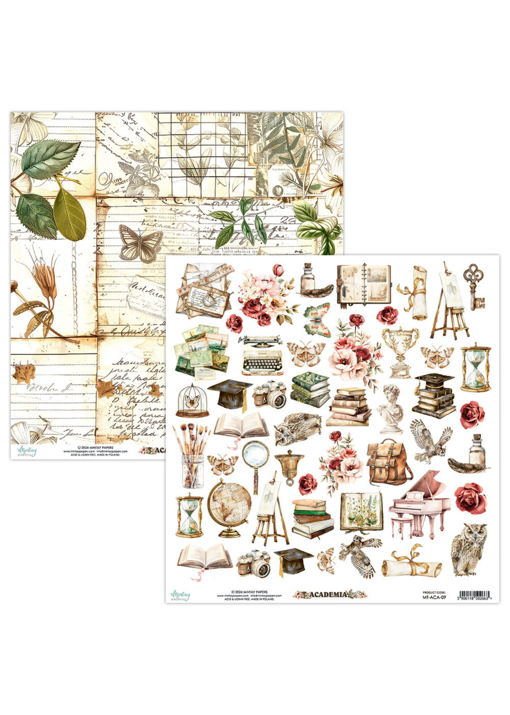 Mintay 12x12 Acadamia Elements, 09