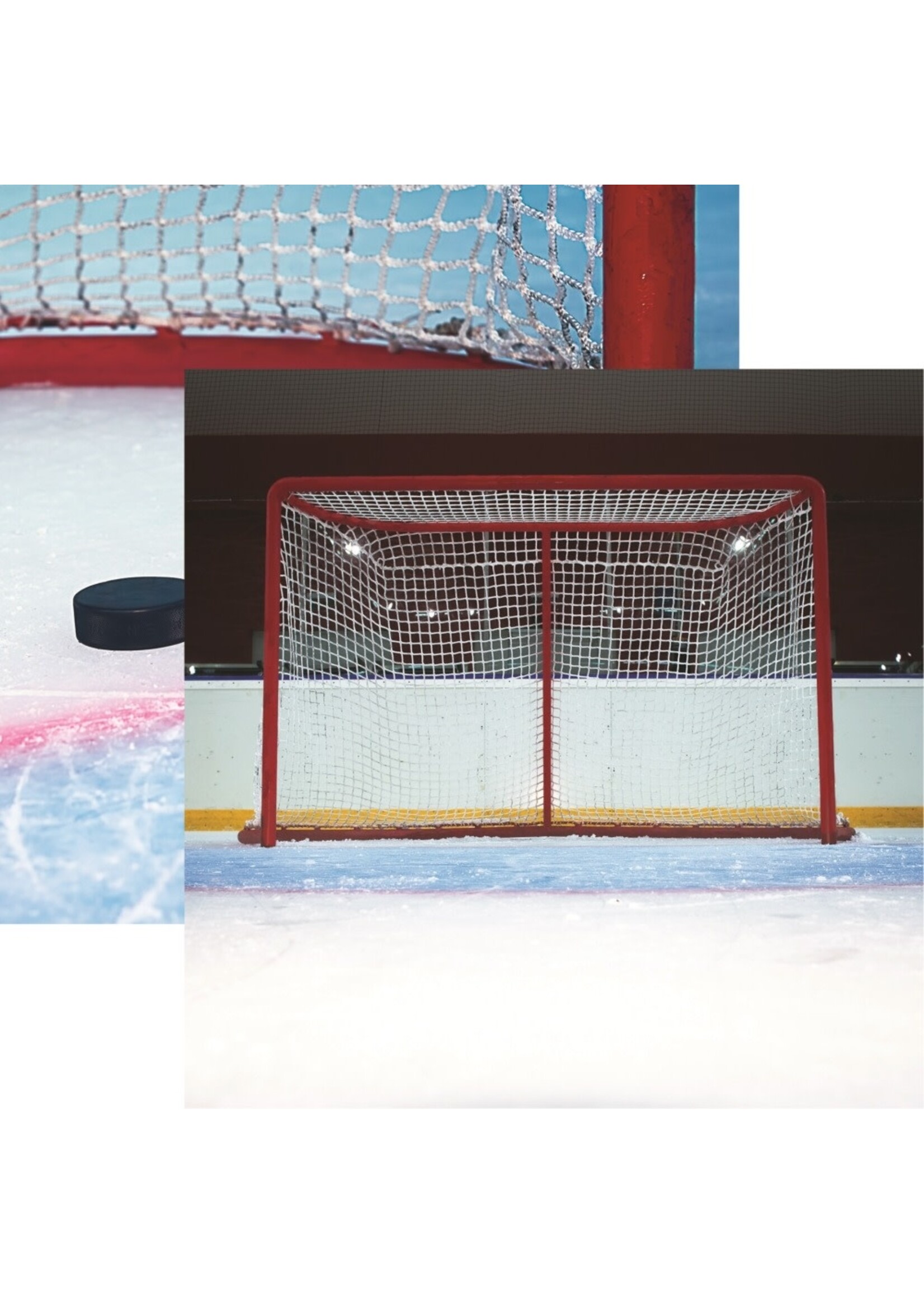 Reminisce 12x12 Pattern Paper, Let's Play Hockey, Goal