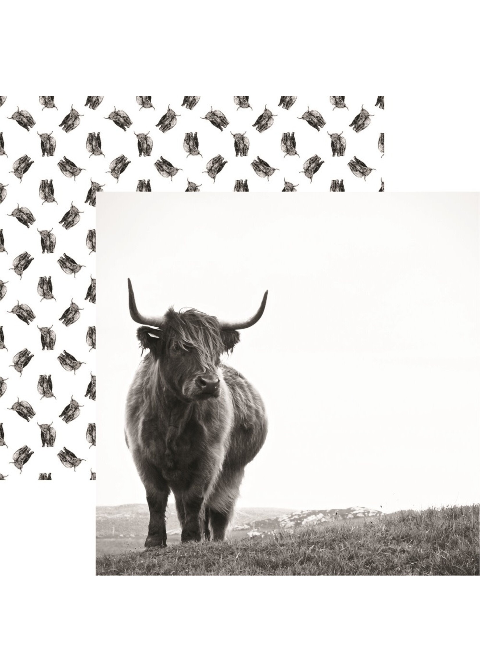 Reminisce 12x12 Pattern Paper, Holy Cow Scottish Highland