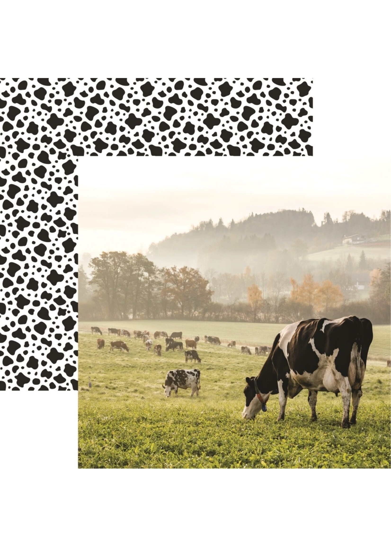 Reminisce 12x12 Pattern Paper, Holy Cow Holstein
