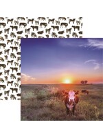 Reminisce 12x12 Pattern Paper, Holy Cow Hereford