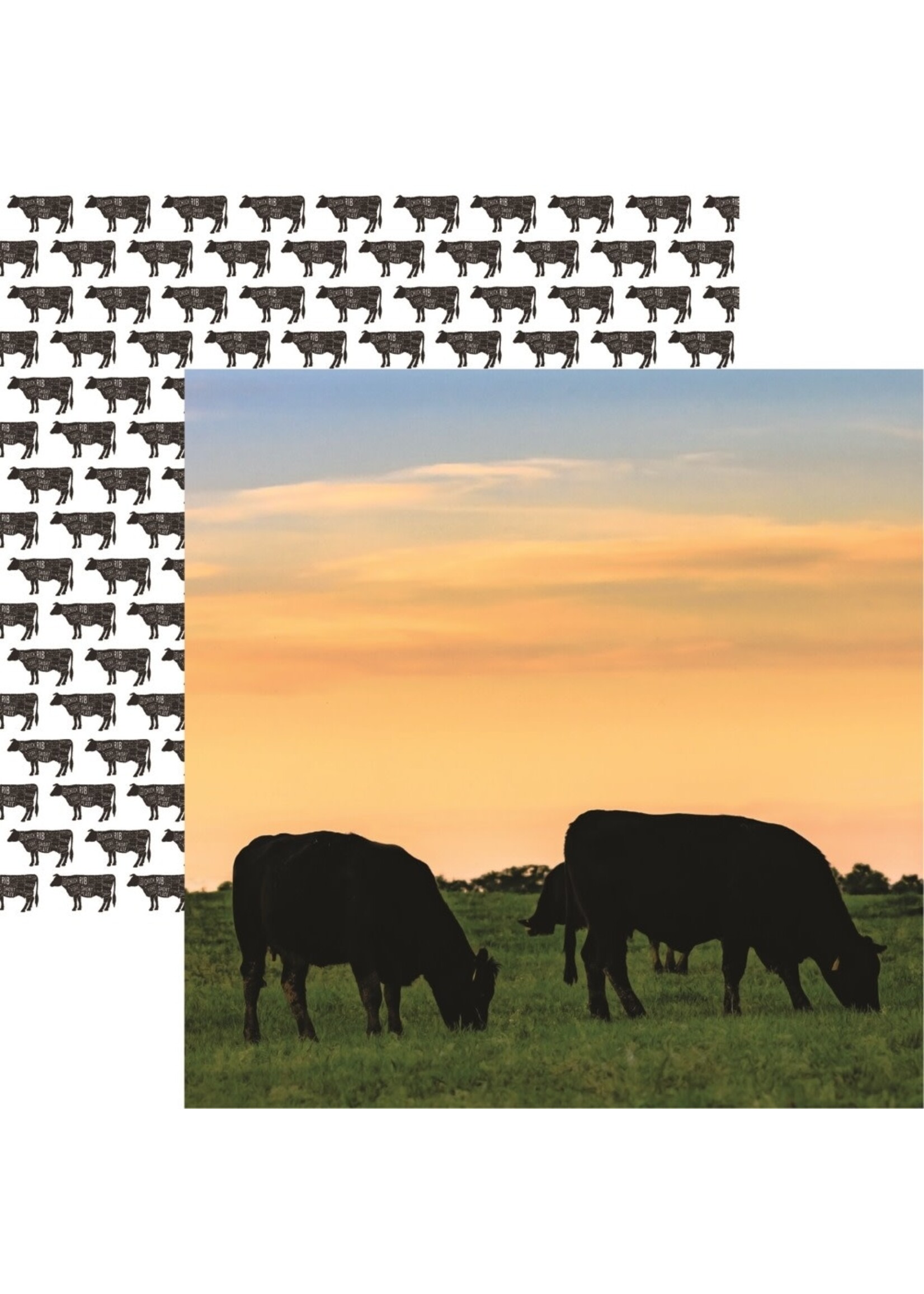Reminisce 12x12 Pattern Paper, Holy Cow Black Angus