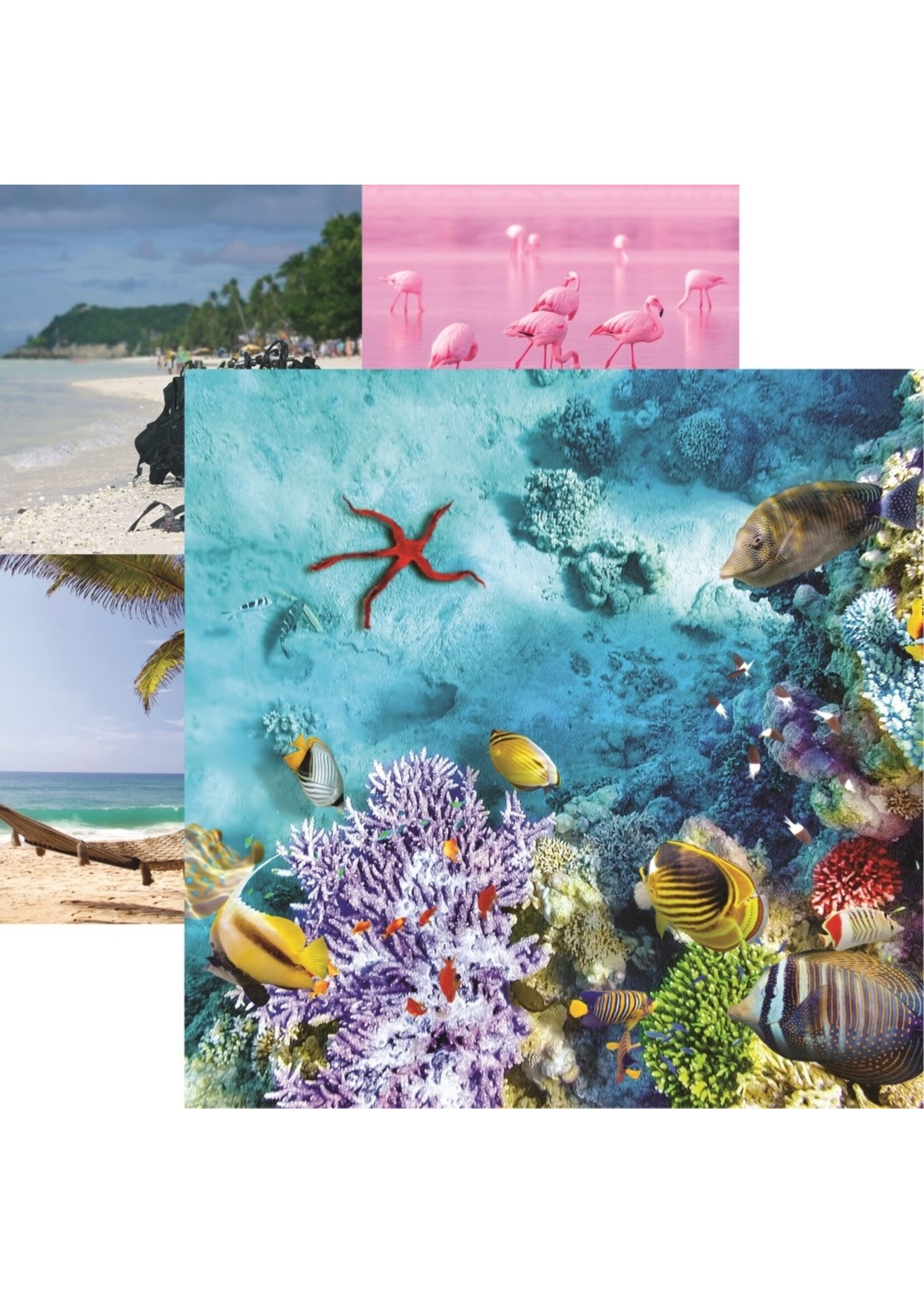 Reminisce 12x12 Pattern Paper, Costal Serenade Underwater