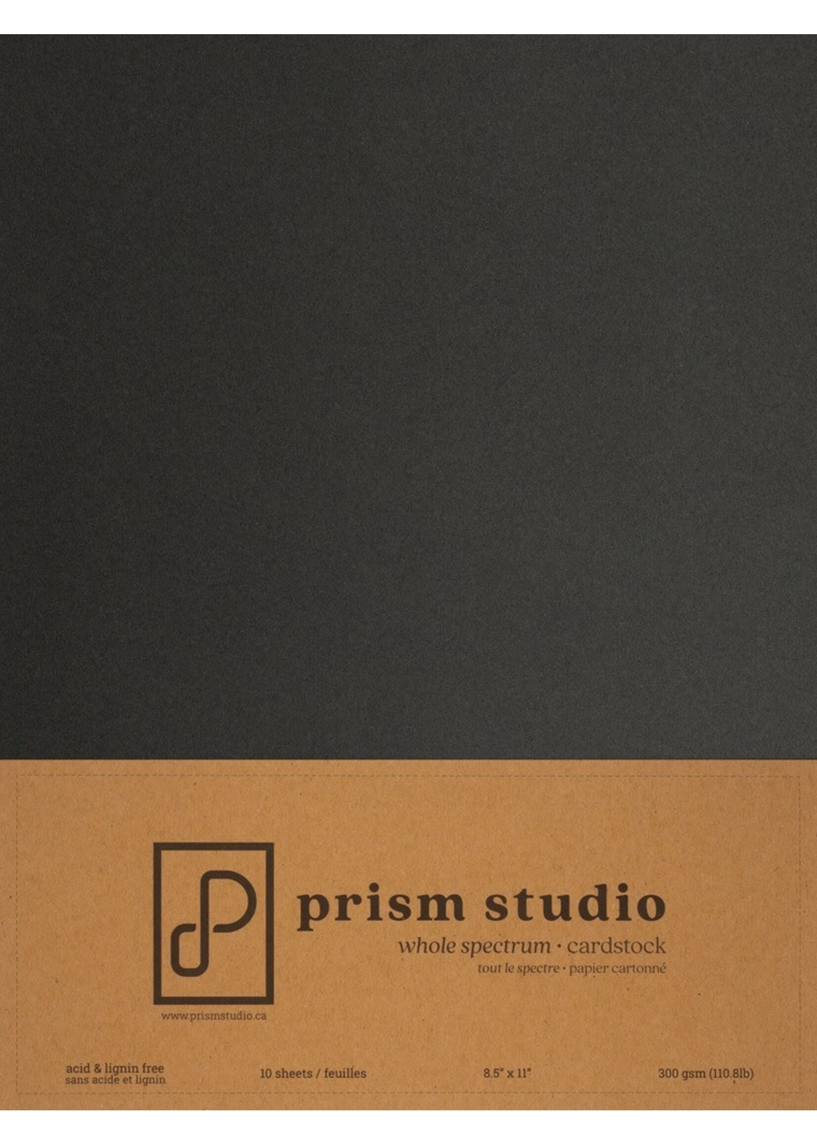 Prism Studio Prism 8.5x11 Cardstock 110 lb, Southern Moss (10)