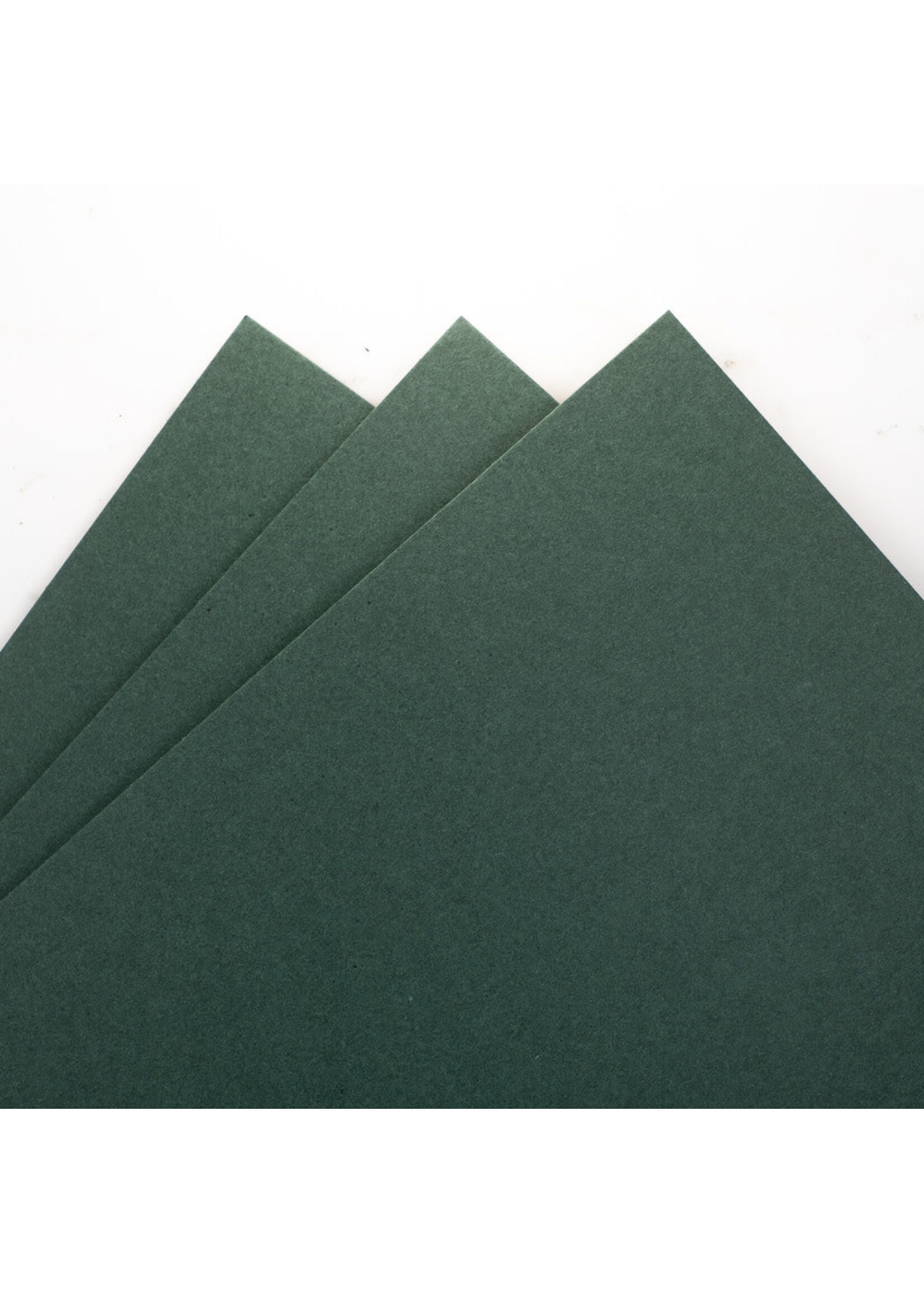 Prism Studio Prism 8.5x11 Cardstock 92 lb, Balsam (10)