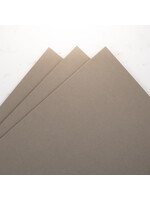 Prism Studio Prism 8.5x11 Cardstock 92 lb, Silverleaf Willow (10)